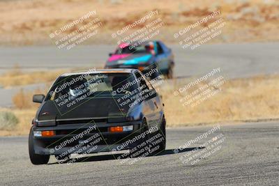 media/Feb-22-2025-Team Topak Racing (Sat) [[cb57a51a40]]/86 Party Brigade/Turns 13 and 14/